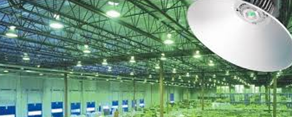 Đèn led đường, nhà xưởng