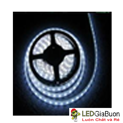 Led dán cuộn 3528 - 5m/12V