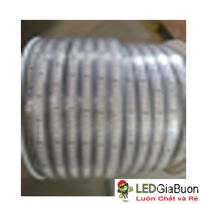 Led dây 2835 100m siêu sáng màu trắng/vàng bản rộng 1 hàng 120 mắt