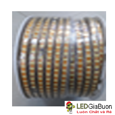 Led dây 2835 100m 2 hàng 156 mắt bản vàng/ 10mm