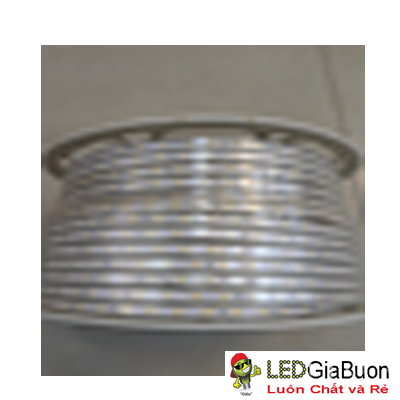 Đèn LED dây cuộn 2835 100m/ nhiều màu/ 60 mắt/ bản 4mm