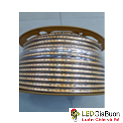 LED dây cuộn 3014 100m/ 1 hàng/ loại 1/ bản rộng lõi đồng 3 màu