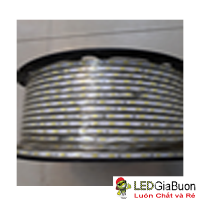 LED dây cuộn 5050 100m nhiều màu