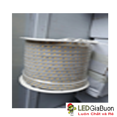 LED dây cuộn 5730 100m 2 hàng chéo/15mm