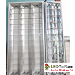 Máng xương cá led tuýp chữ nhật